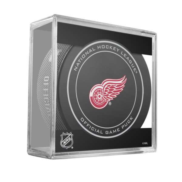 Detroit Red Wings® Hockey Puck Light Fixture – Ultimate Hockey Fans